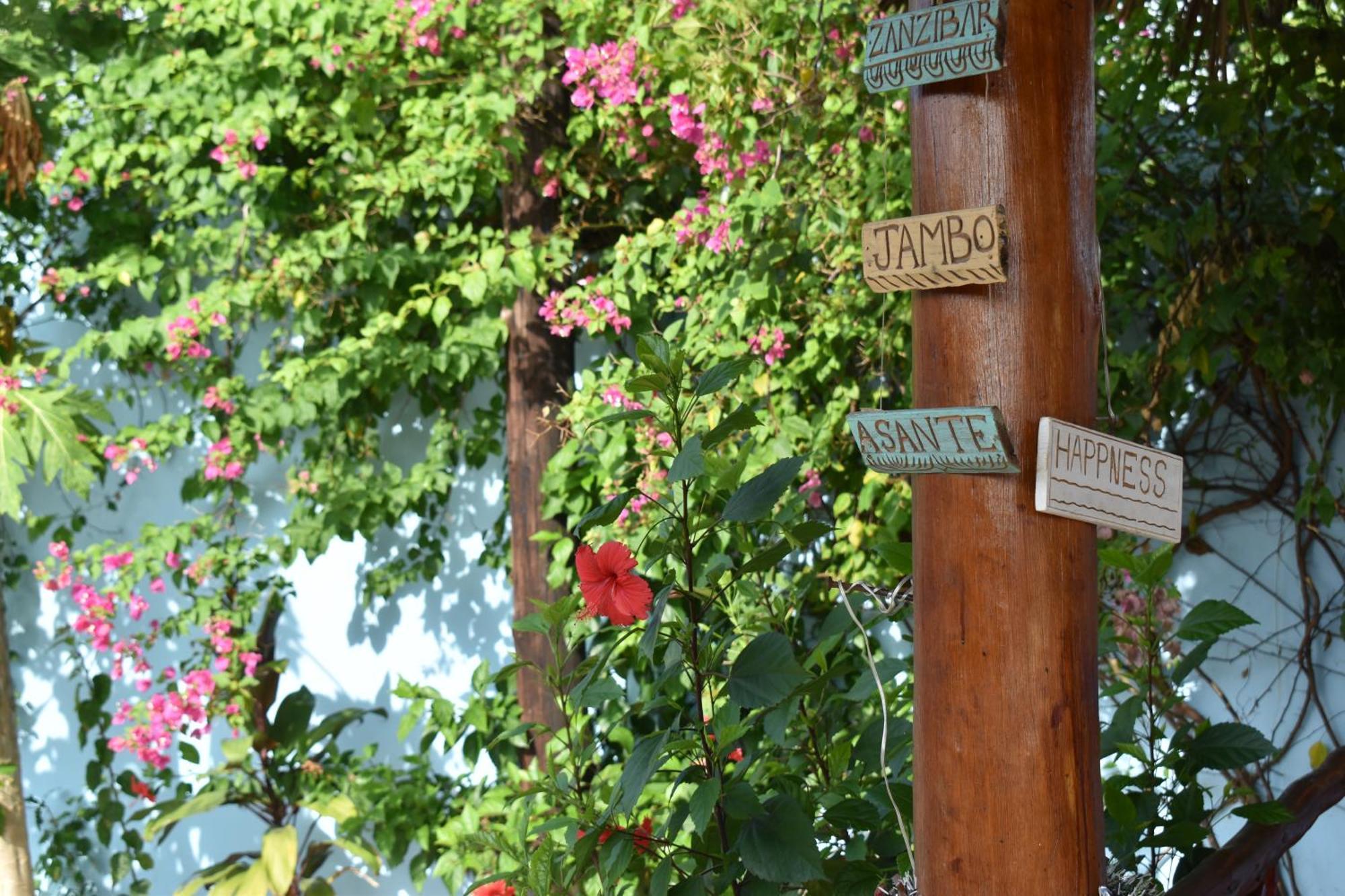Pineapple House Bed and Breakfast Nungwi Exteriör bild